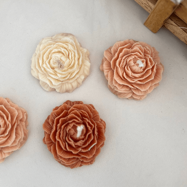 Pivoine