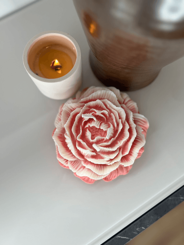 Grande Pivoine