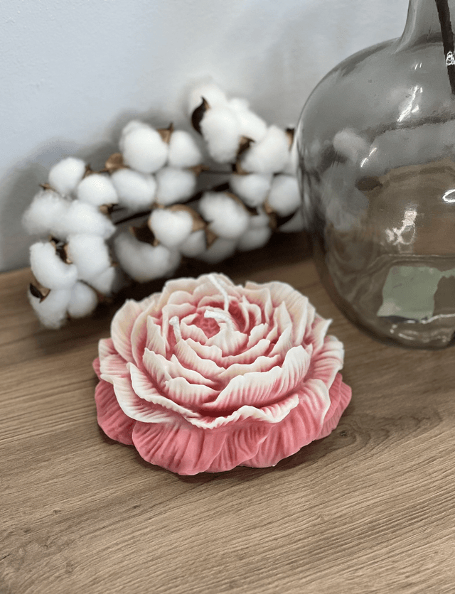 Grande Pivoine