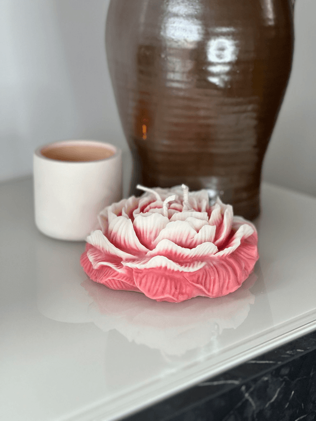 Grande Pivoine