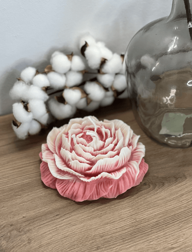 Grande Pivoine