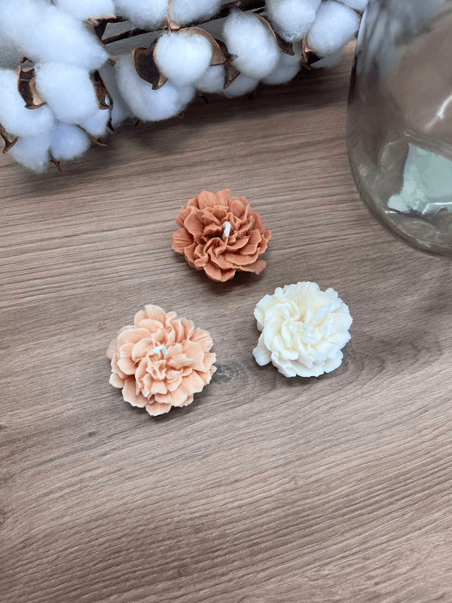 Little Pivoine