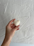 PETIT COEUR