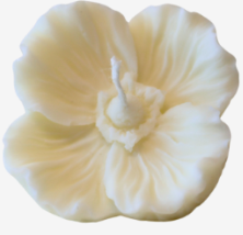 Coquelicot