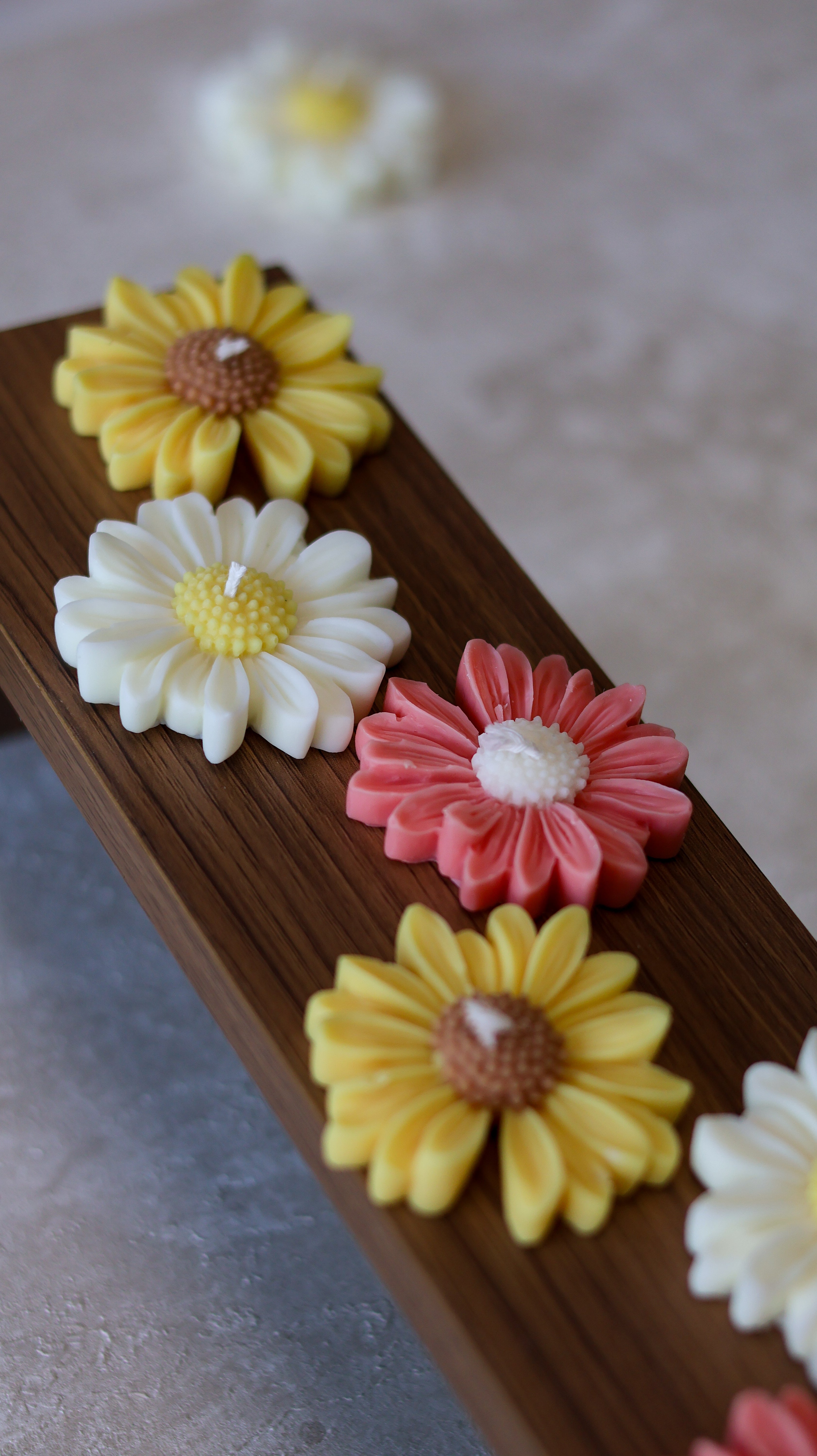 PAQUERETTE FLOTTANTE