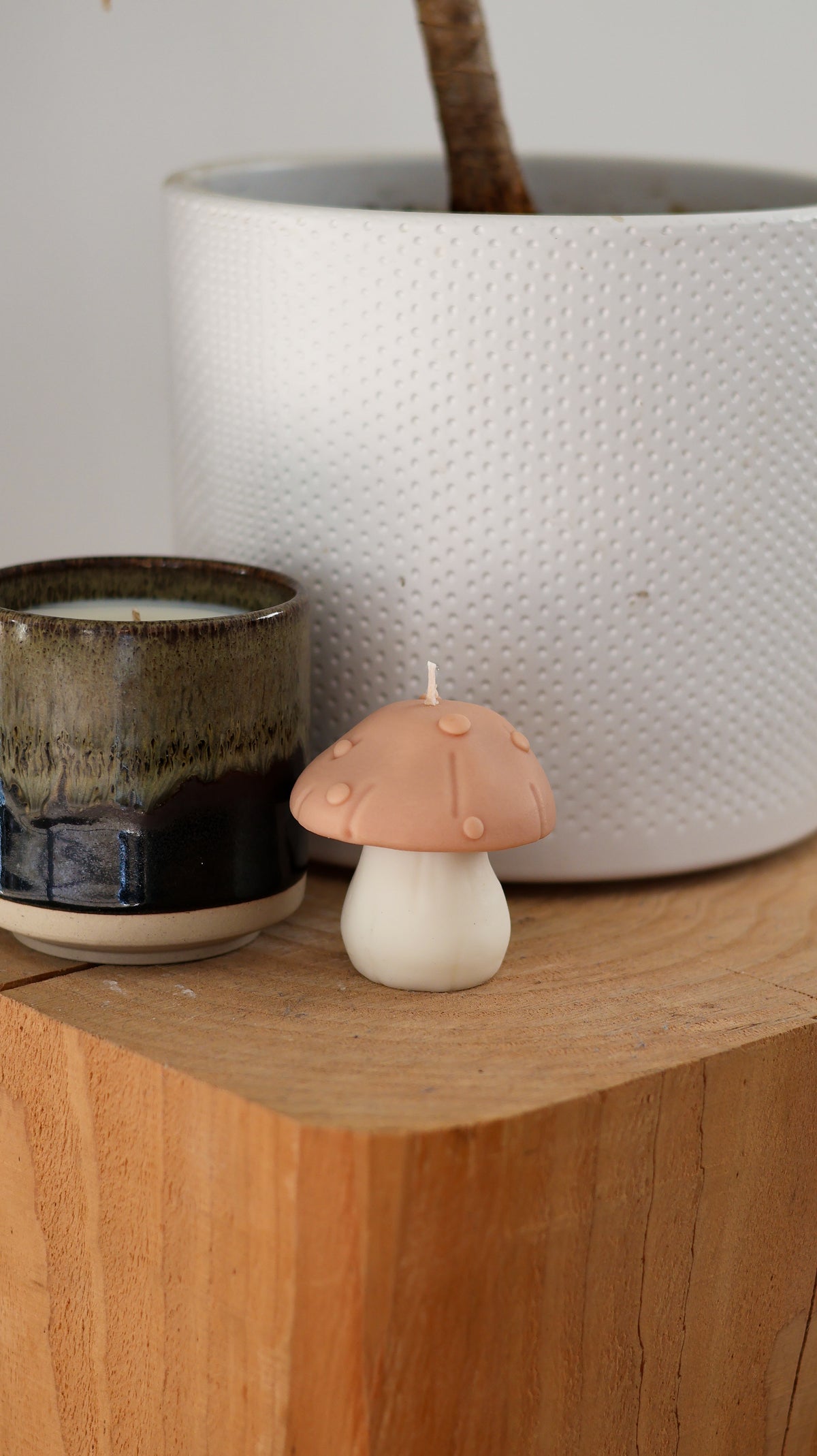 CHAMPIGNON