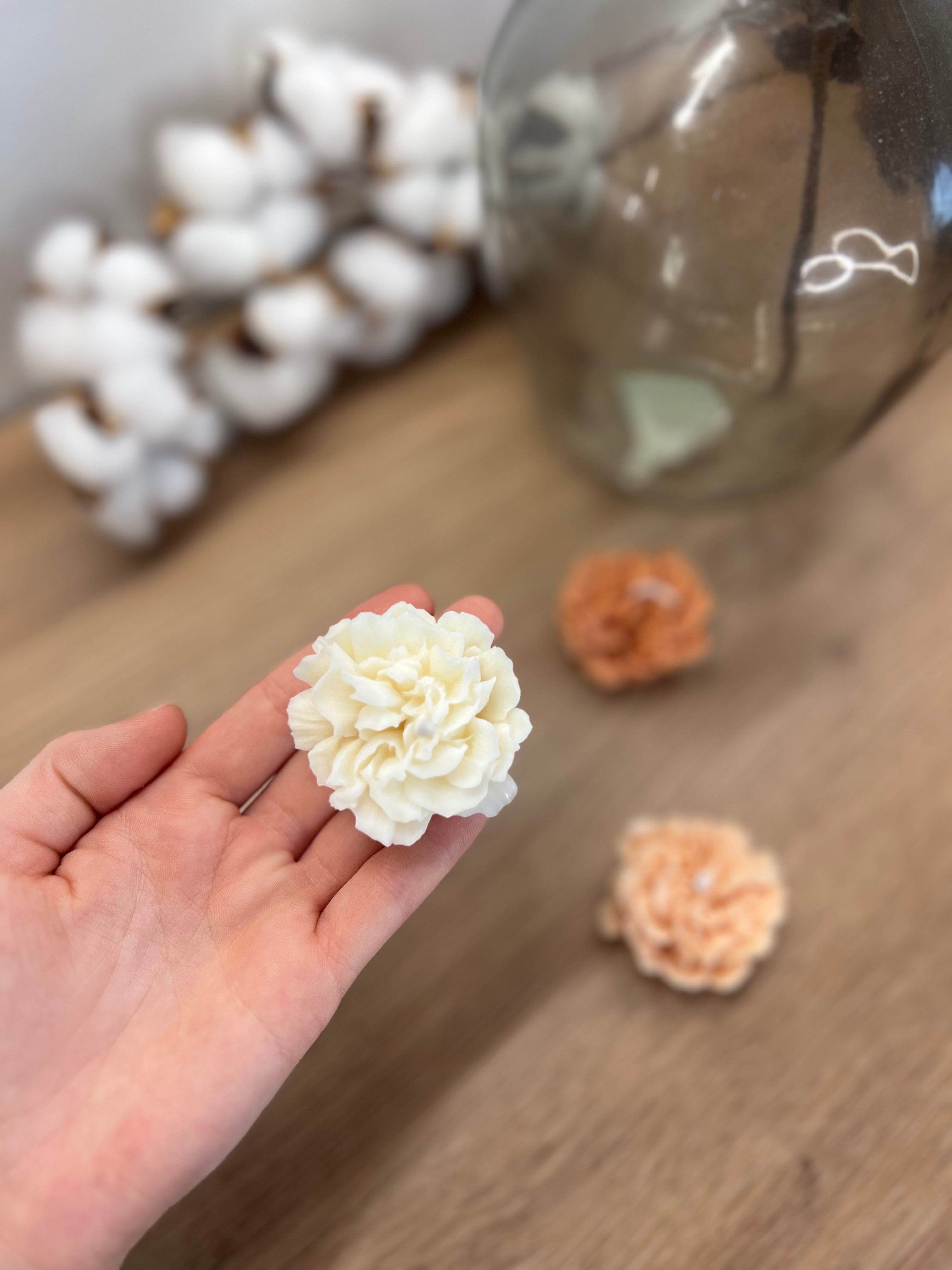 LITTLE PIVOINE